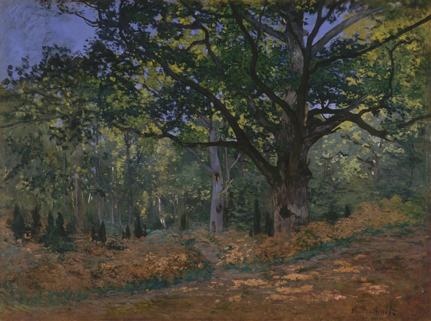 La quercia di Bodmer, foresta di Fontainebleau - Metropolitan Museum of Art, New York